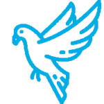 Control de Aves